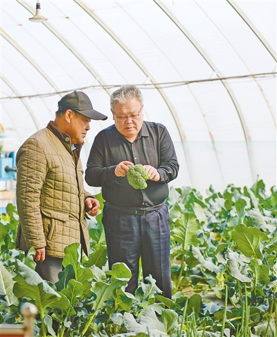 帮农民建大棚 给蔬菜当医生