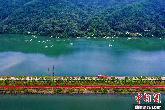 （高质量发展调研行）福建三明：践行“青山绿水是无价之宝”理念 推进生态文明建设