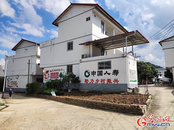 普惠金融保险助推乡村振兴——广西龙州调研记