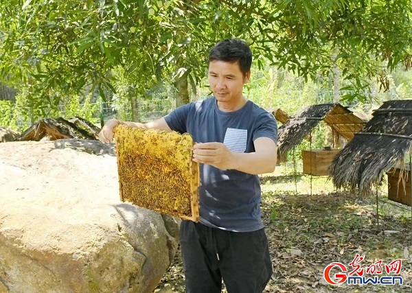 普惠金融保险助推乡村振兴——广西龙州调研记