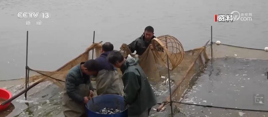 休渔禁渔,让江海休养生息 休渔禁渔,让江海休养生息