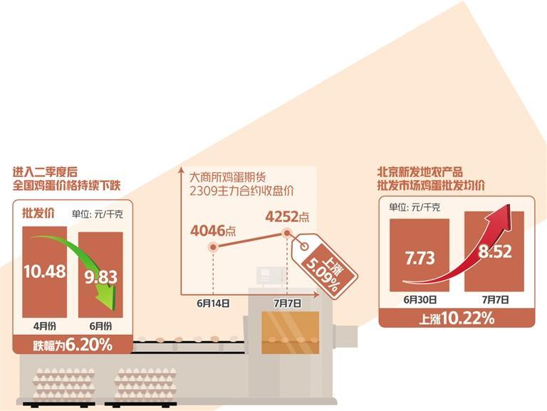 蛋价持续下跌后快速反弹，专家表示三季度鸡蛋消费有望提振