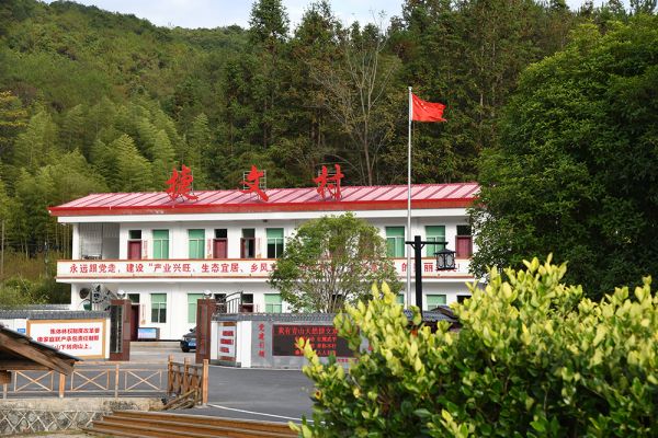 【大国新村：沿着总书记的足迹】福建武平：“林改第一县”的绿色振兴