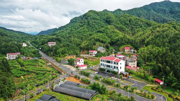 【大国新村：沿着总书记的足迹】福建武平：“林改第一县”的绿色振兴