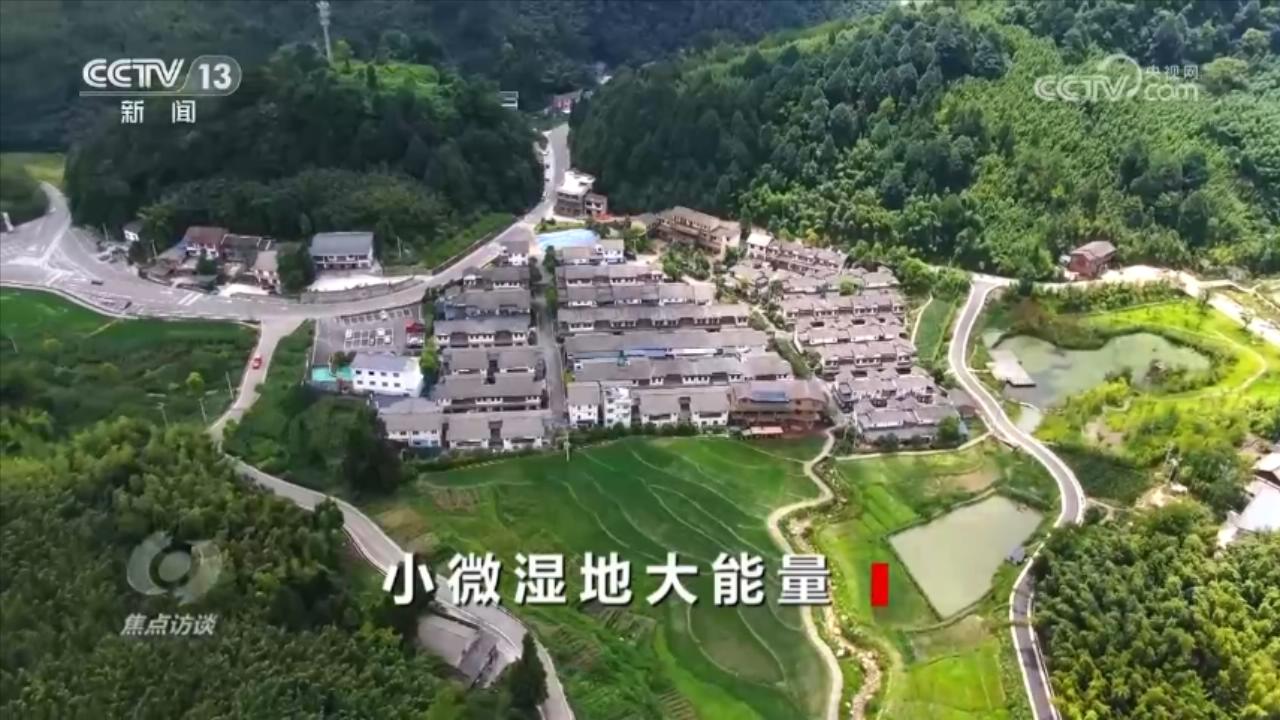 焦点访谈：小微湿地大能量
