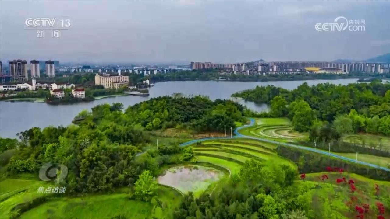 焦点访谈：小微湿地大能量