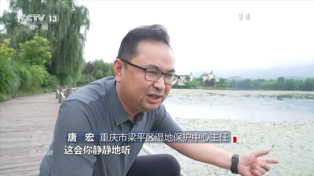 焦点访谈：小微湿地大能量