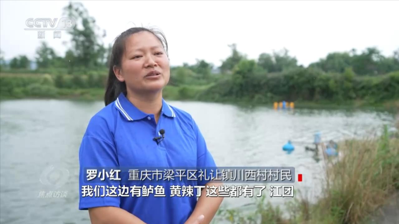 焦点访谈：小微湿地大能量