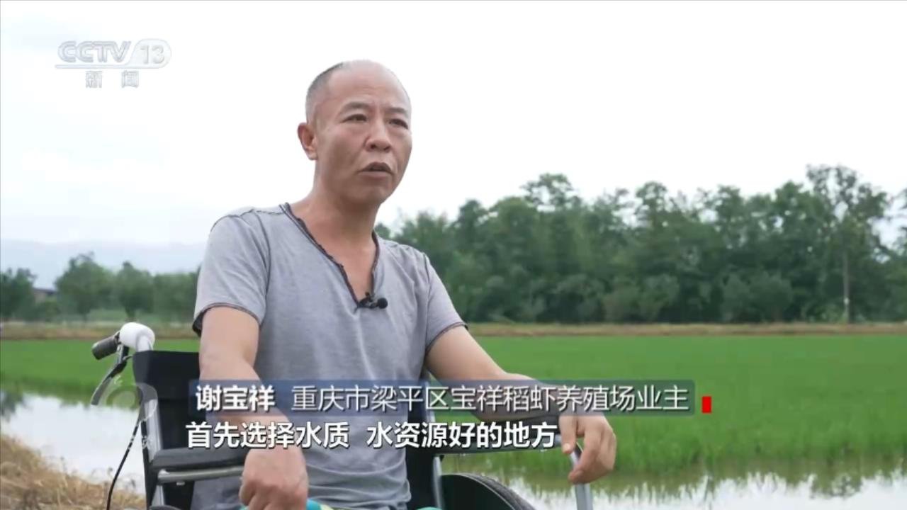 焦点访谈：小微湿地大能量