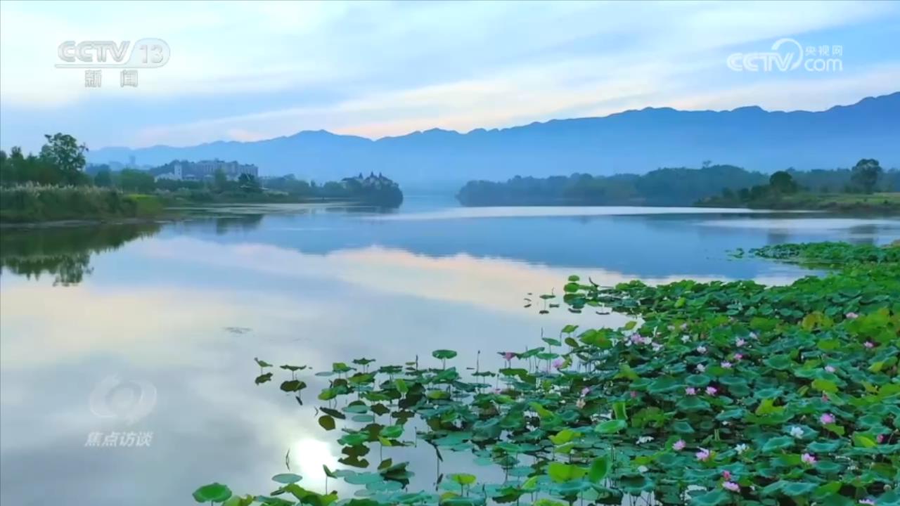 焦点访谈：小微湿地大能量