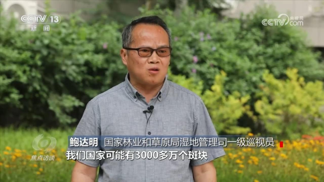 焦点访谈：小微湿地大能量