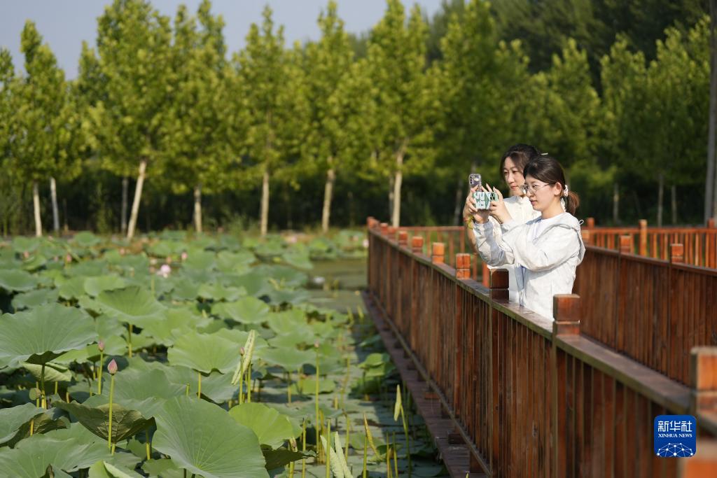 河北丰南：打造宜居宜游美丽乡村