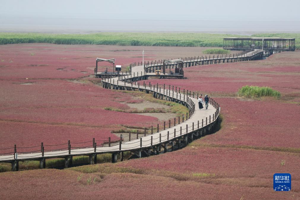 夏游红海滩