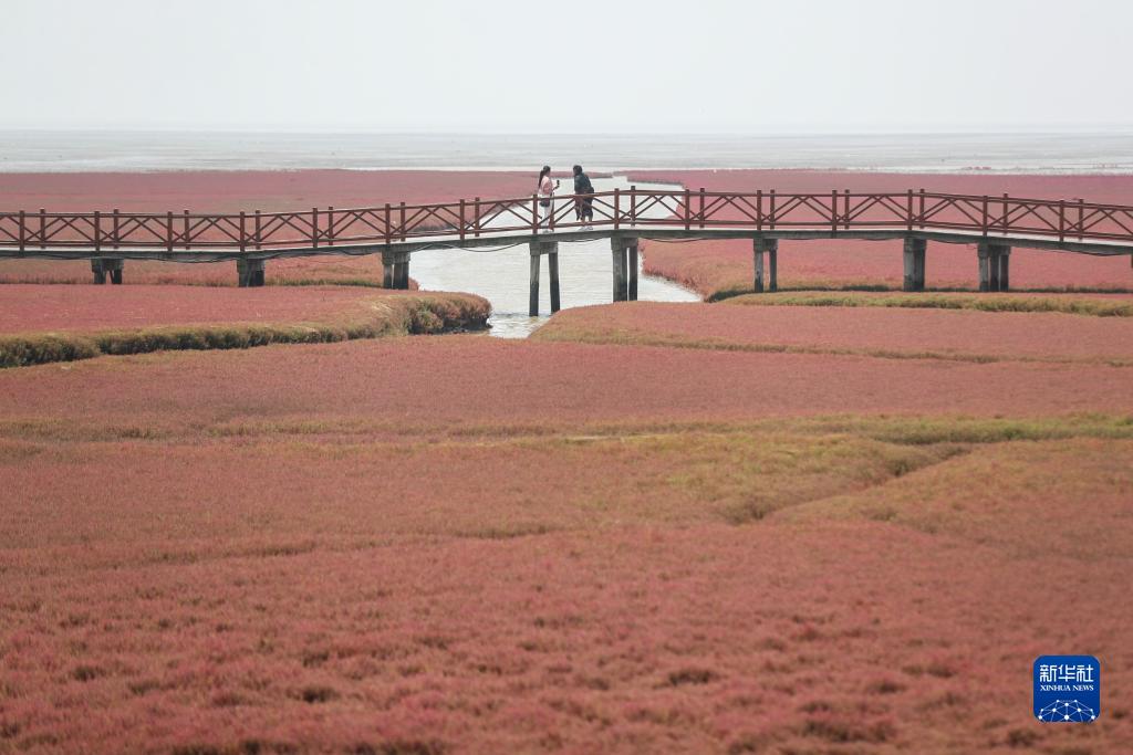 夏游红海滩