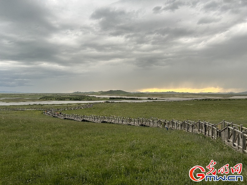 我们的家园丨【组图】若诗若画若尔盖 大河安澜油菜香