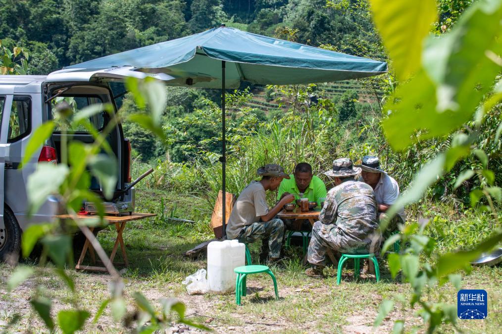 国道之行 从雪山奔向大海｜野外追象直击