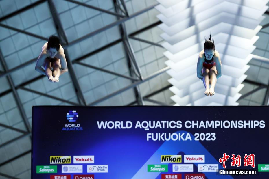 福冈游泳世锦赛：中国组合朱子锋/林珊摘得混双3米板金牌