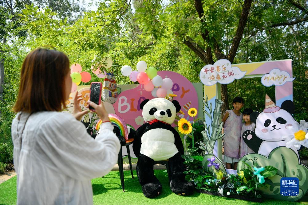 大熊猫“喜乐”迎来10岁生日