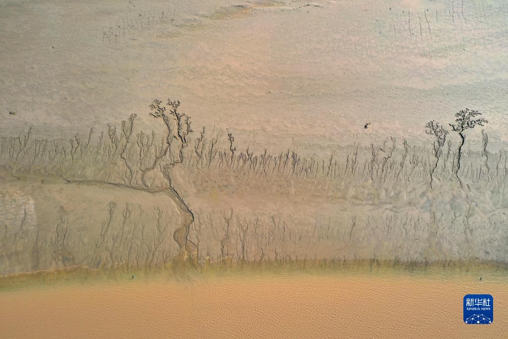 河南开封:“黄河之脉”