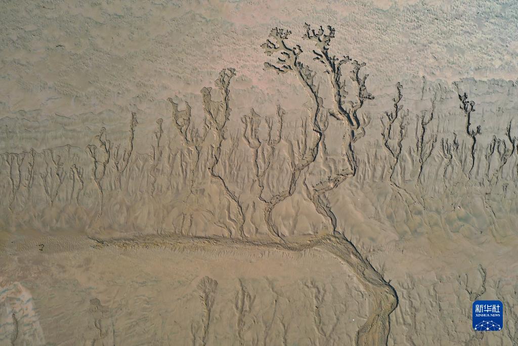 河南开封:“黄河之脉”