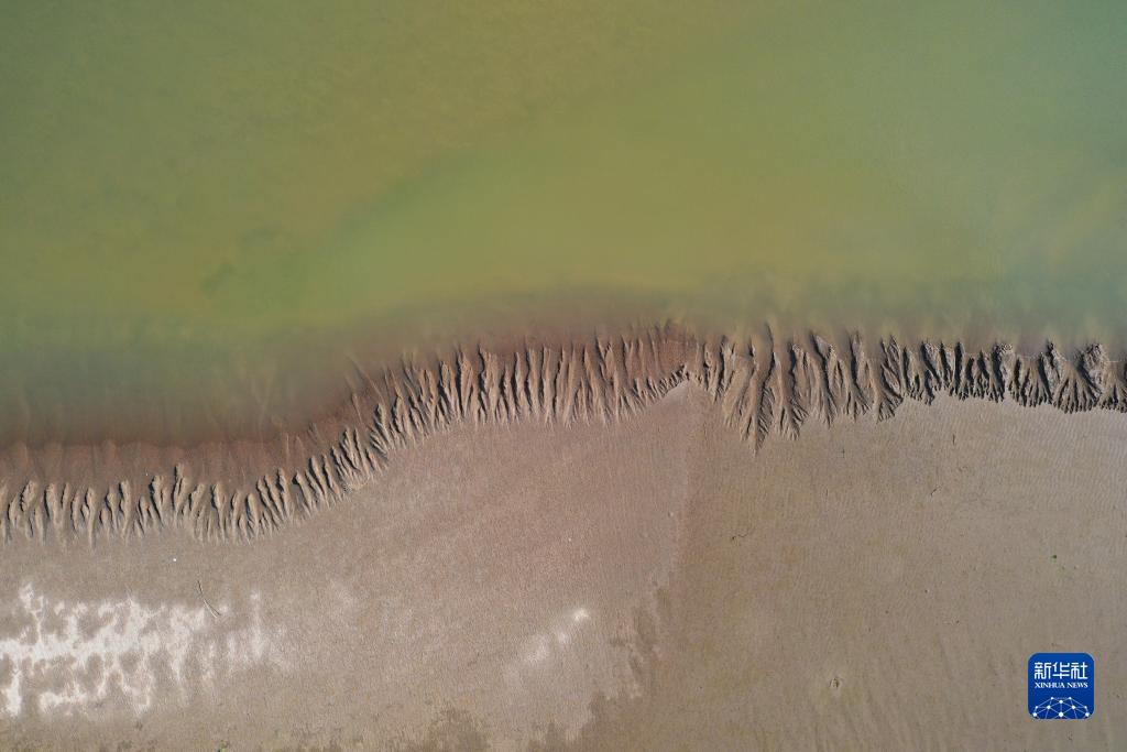 河南开封:“黄河之脉”