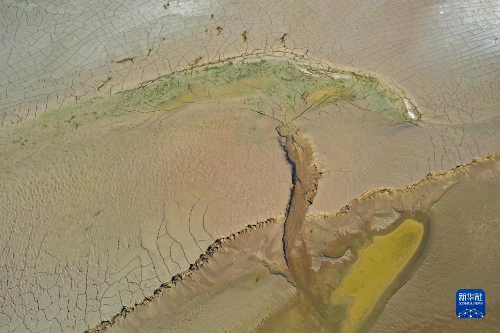 河南开封:“黄河之脉”