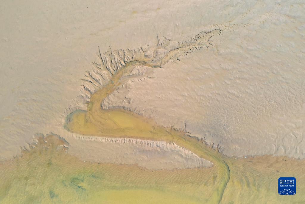 河南开封:“黄河之脉”