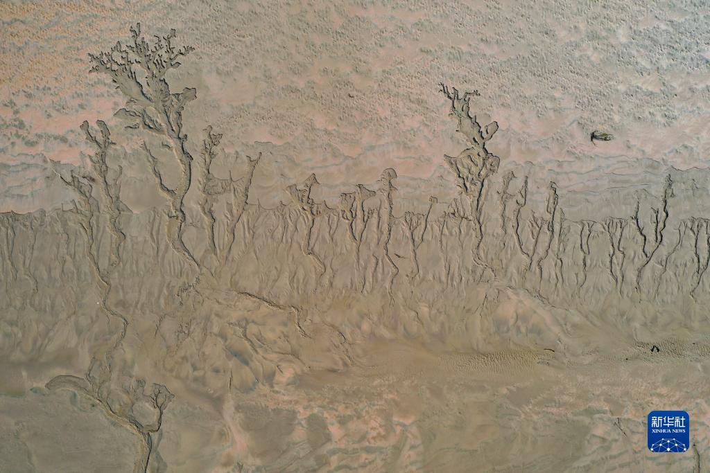 河南开封:“黄河之脉”