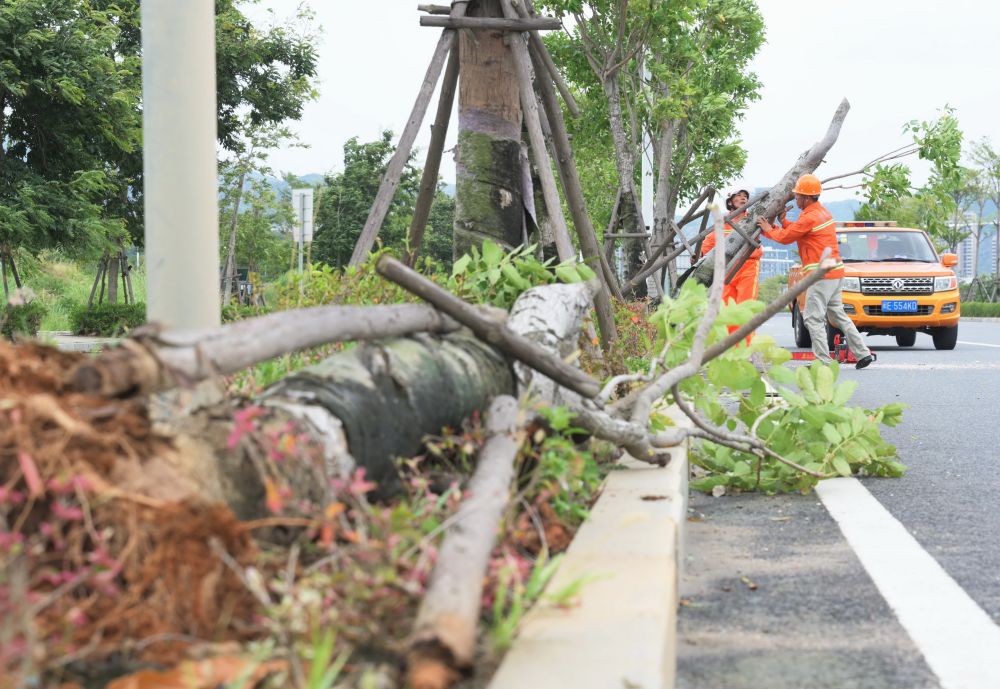 新华全媒+|直击福建多地抗击台风“杜苏芮”抢险救援一线