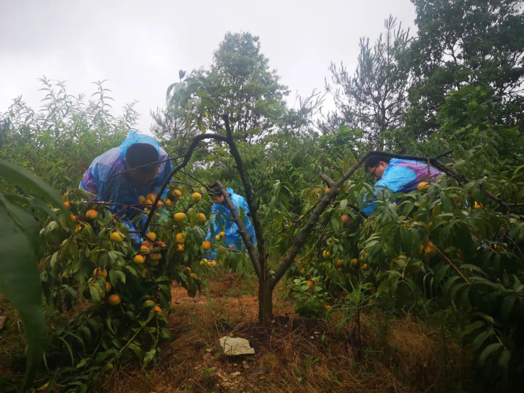 浙江泰顺:防汛防台有你们,安心!