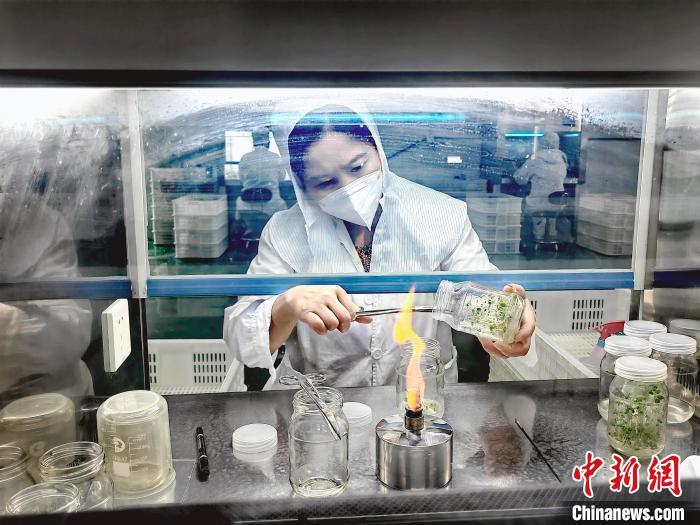 山东德州兴产业“反哺”乡村 让经济民生“同频共振”