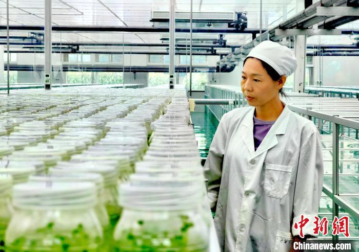 山东德州兴产业“反哺”乡村 让经济民生“同频共振”