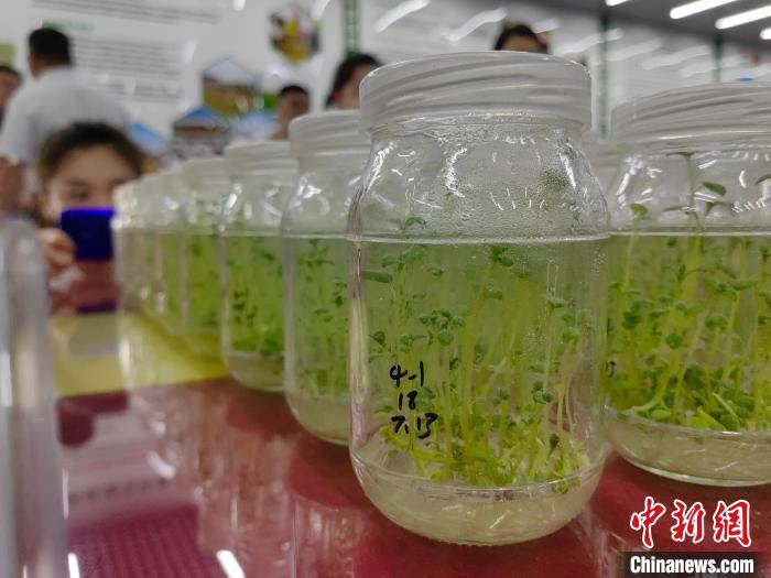 山东德州兴产业“反哺”乡村 让经济民生“同频共振”