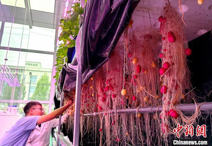 山东德州兴产业“反哺”乡村 让经济民生“同频共振”