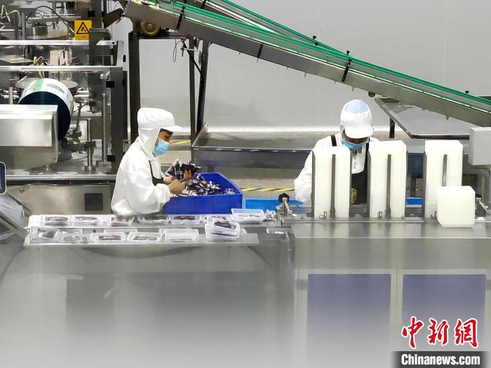 山东德州兴产业“反哺”乡村 让经济民生“同频共振”