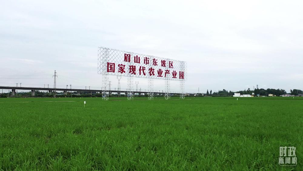 习近平赴四川陕西考察，足迹之中饱含深意