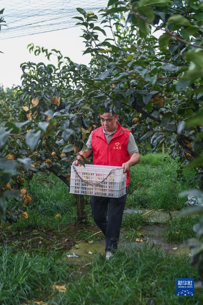 浙江湖州：志愿者助农忙抢收