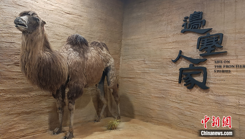 【简牍中国】走进甘肃简牍博物馆 探寻历史留白处的故事