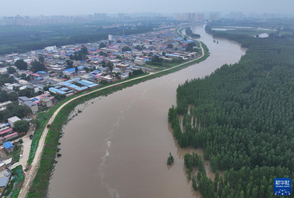 河北白沟：加固岸堤排险情