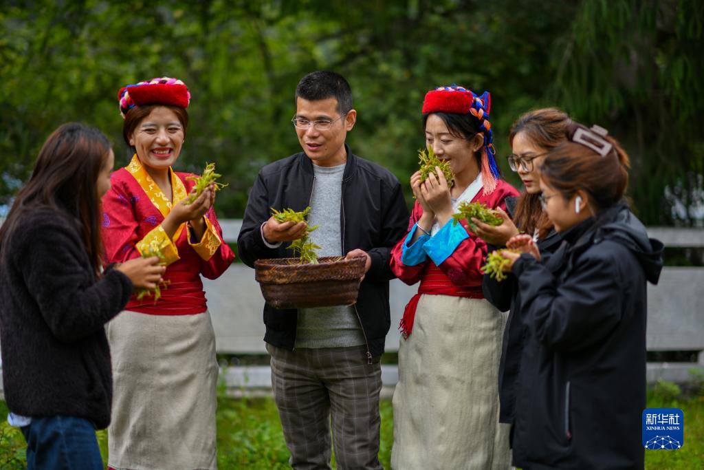 西藏错那：勒布沟莓茶产业带动乡村振兴