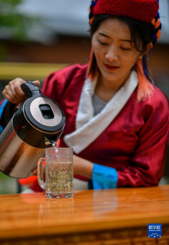 西藏错那：勒布沟莓茶产业带动乡村振兴