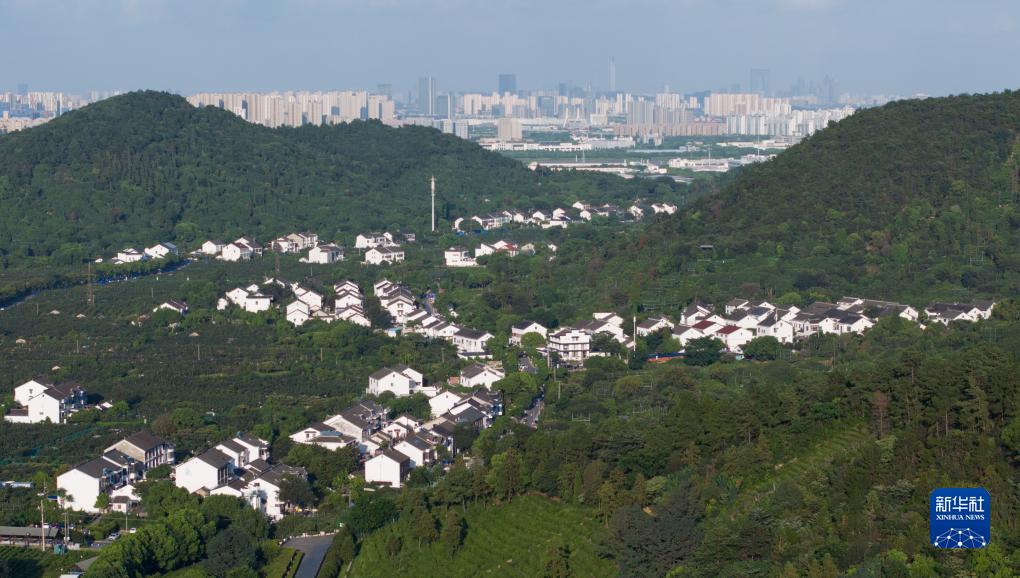四季中国丨夏日树山村