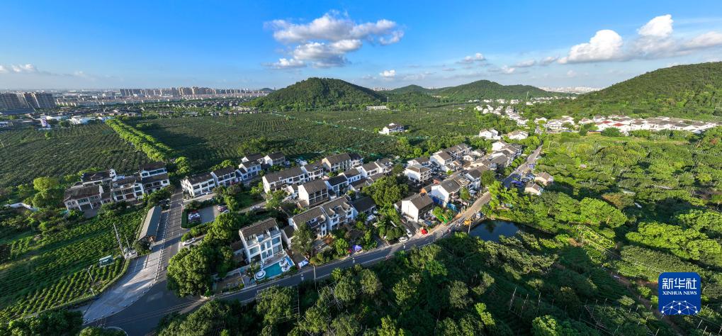 四季中国丨夏日树山村