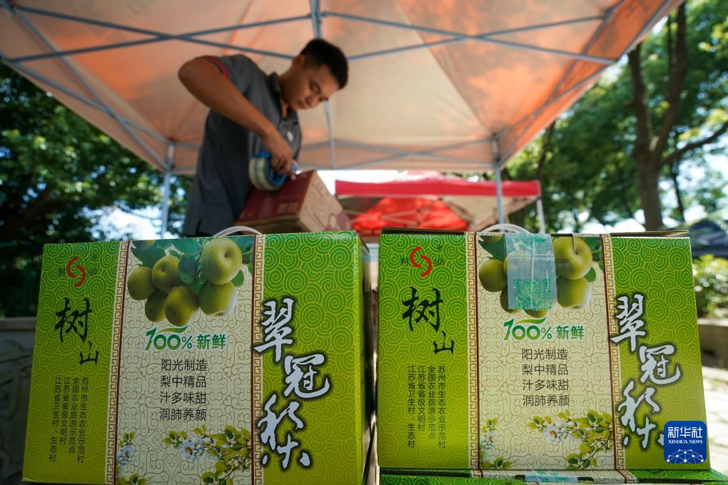 四季中国丨夏日树山村