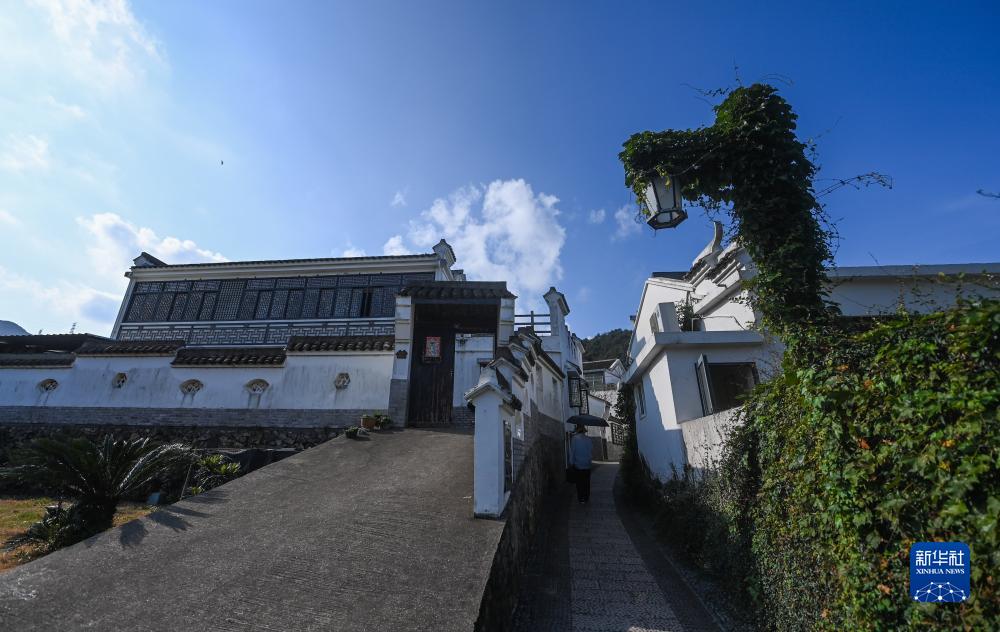浙江舟山推进美丽乡村建设