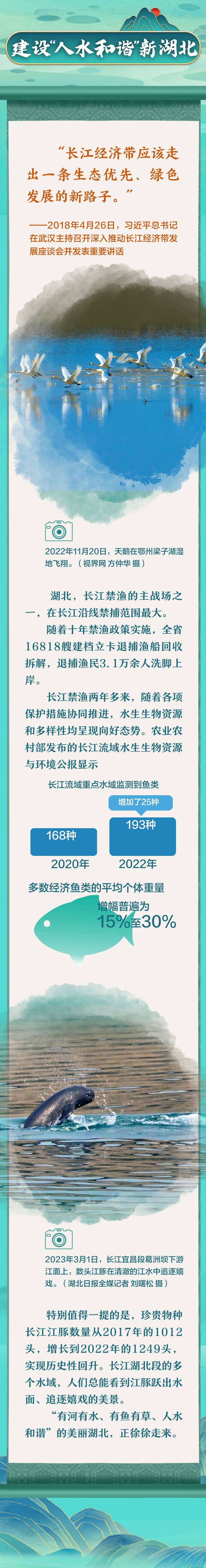 跟着总书记看中国丨青山绿水 潮涌大江