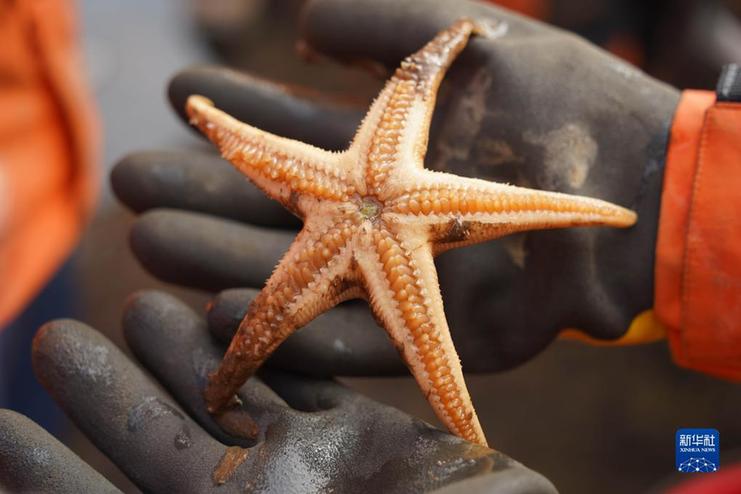 中国第13次北冰洋科学考察队完成第一阶段作业任务