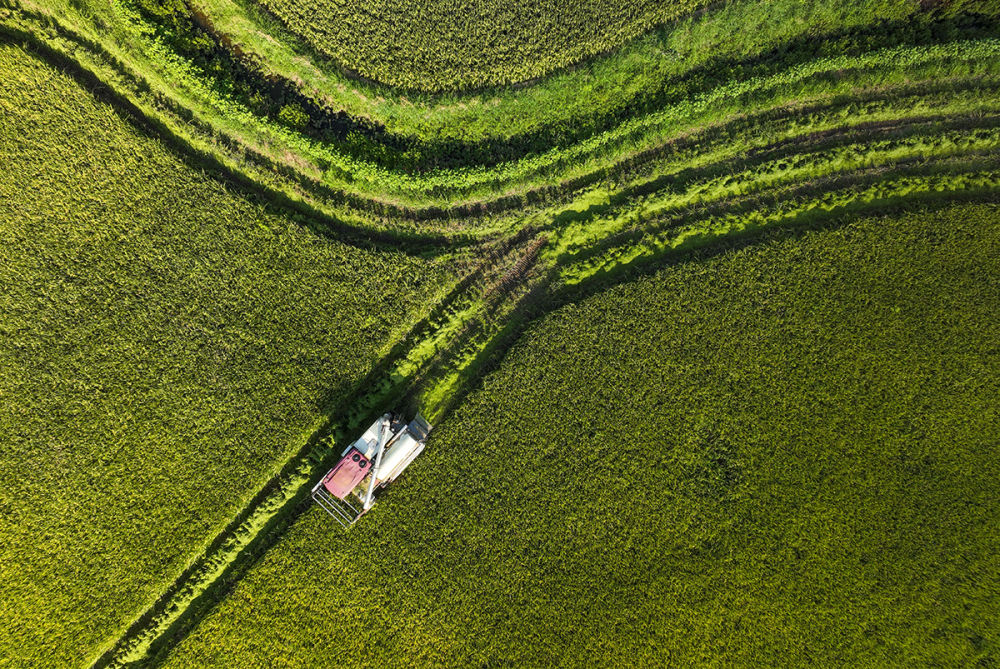 高清大图丨重庆永川：机械化作业为水稻收割按下快进键