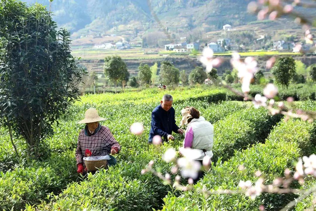 美丽中国｜厚植绿色发展底色