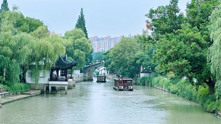 沿着大运河看中国丨走进诗情画意中 与《枫桥夜泊》邂逅